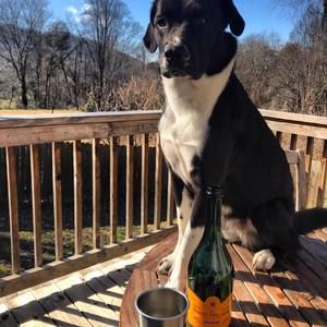 Meet your Posher, Naomi